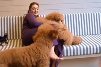 Huma Qureshi with her doggos