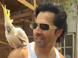 Varun Dhawan & his little birdy friend