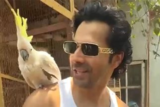 Varun Dhawan & his little birdy friend