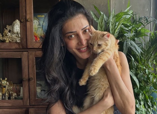 Shruti Haasan adopts rescued ginger cat Aslan; actor gives six-month-old kitten a forever home