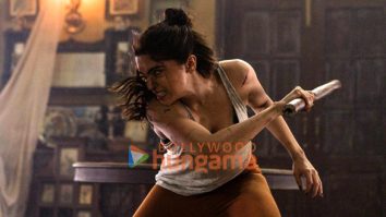 Alpha stills