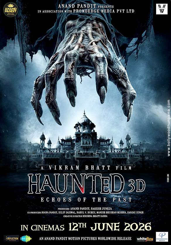 haunted 3d echoes of the past 4