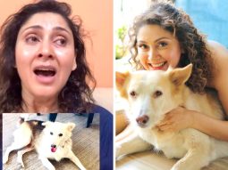 Manjari Fadnnis alleges pet dog Mikey was brutally killed; calls for stronger animal cruelty laws in emotional video