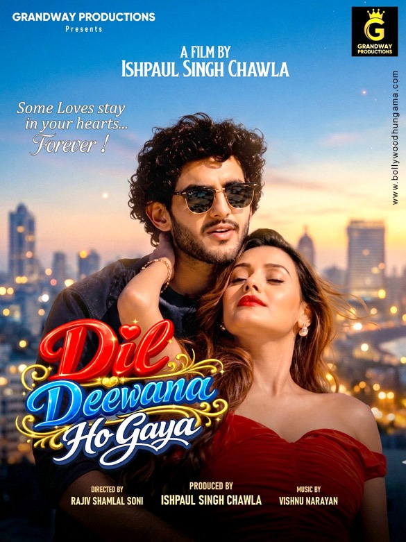 dil deewana ho gaya 2