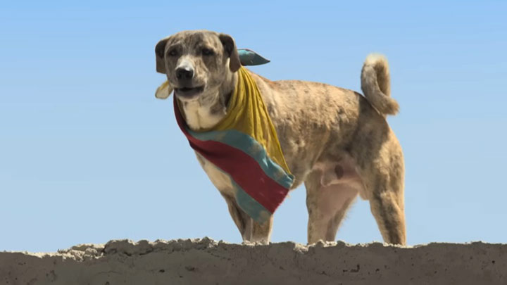 Ohh My Dog – Title Track | Aman Pant | Moksh Pant | Prashant Sishodia Ohh My Dog – Title Track | Aman Pant | Moksh Pant | Prashant Sishodia