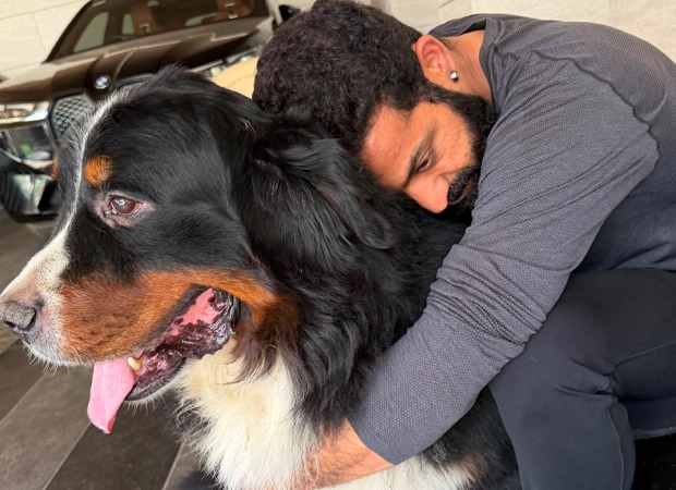 Jr NTR pays tribute to pet dog Bagheera with unseen photos: “Your absence leaves a silence that feels far too large”