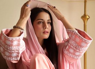 Celina Jaitly shares emotional note on 16th wedding anniversary amid divorce proceedings, speaks of “pain, trauma and abuse”: “At least I know I did my best”