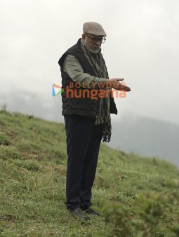 Movie Stills Of The Movie Haiwaan