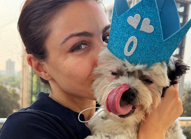 Soha Ali Khan recalls her love for animals since childhood: “The first connection i had with an animal was with a little mouse”